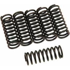 Clutch Spring Kit